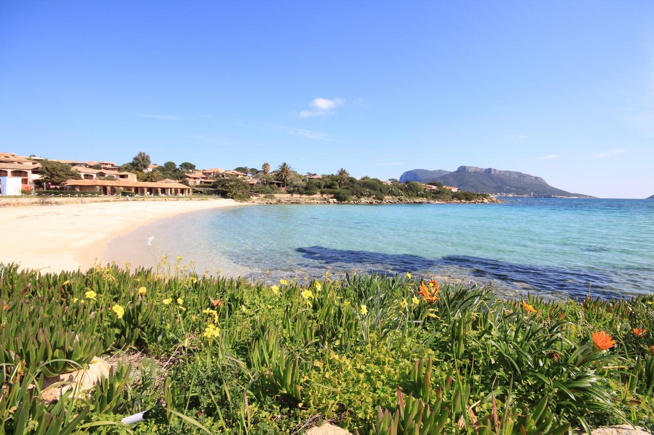 Apartment In S'Abba E Sa Pedra With Pool Golfo Aranci Dış mekan fotoğraf